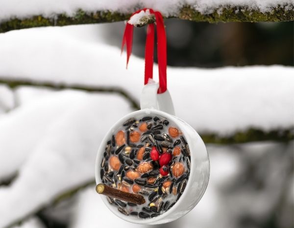 Faire une suspension de graines pour les oiseaux en hiver