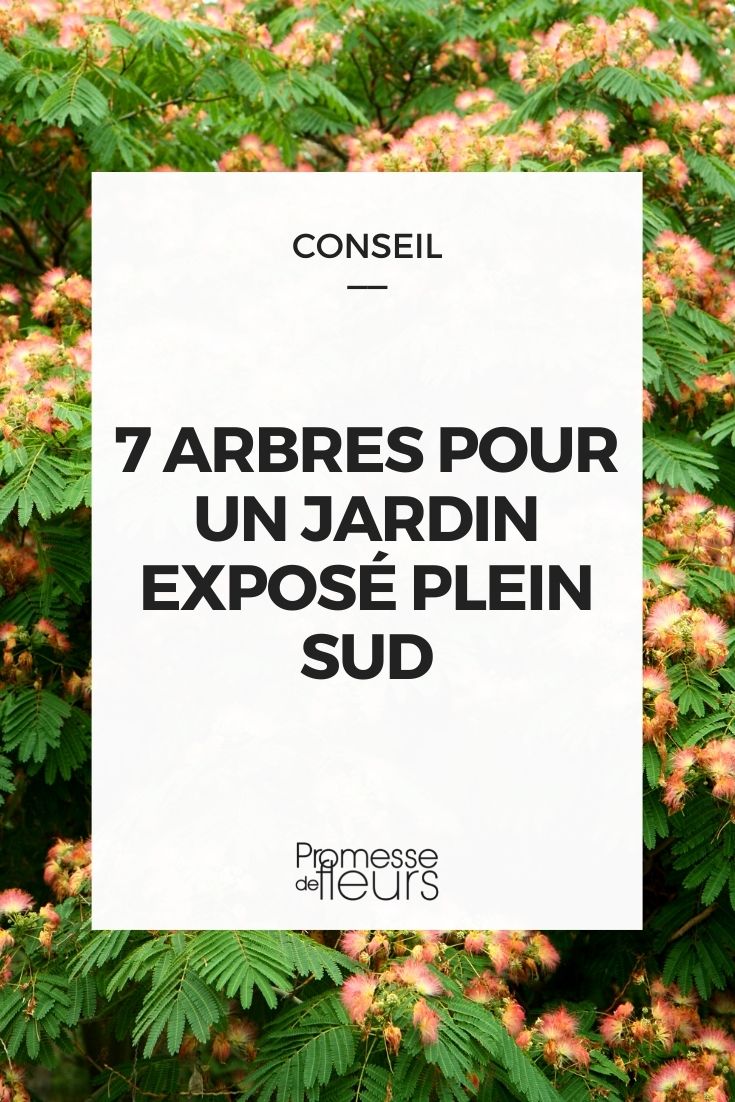 7 arbres pour jardin plein sud