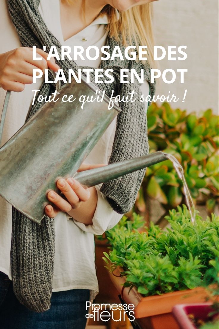 L'arrosage des plantes en pot - Promesse de Fleurs