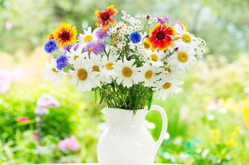 marguerite bouquet