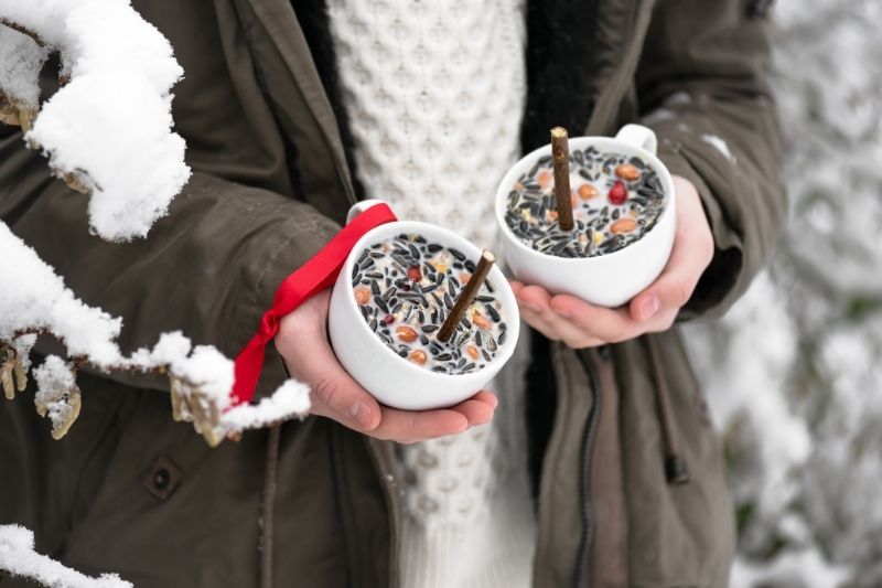 DIY mangeoires et boules de graisse oiseaux