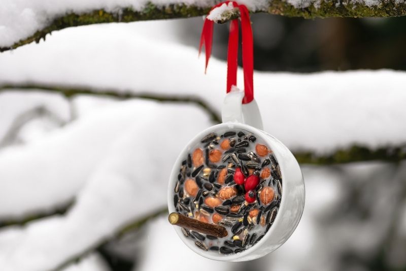 Réaliser un support en bois de boules de graisse pour oiseaux - Depuis mon  hamac