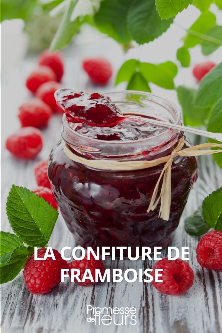 confiture de framboise