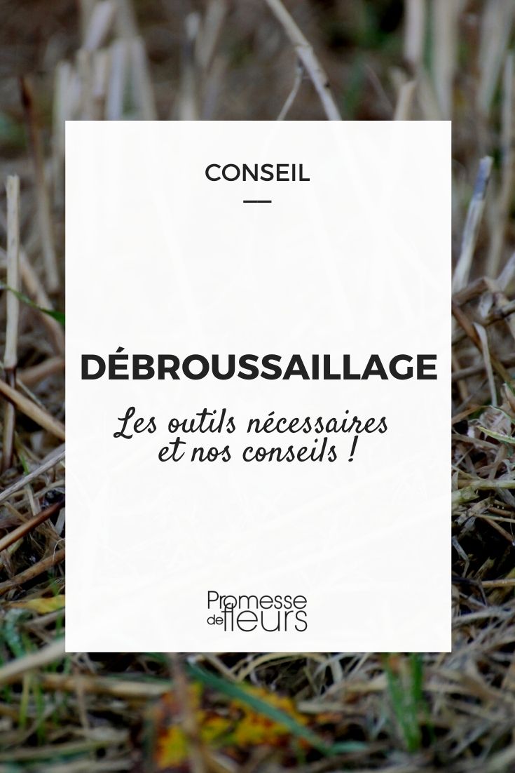 debroussaillage