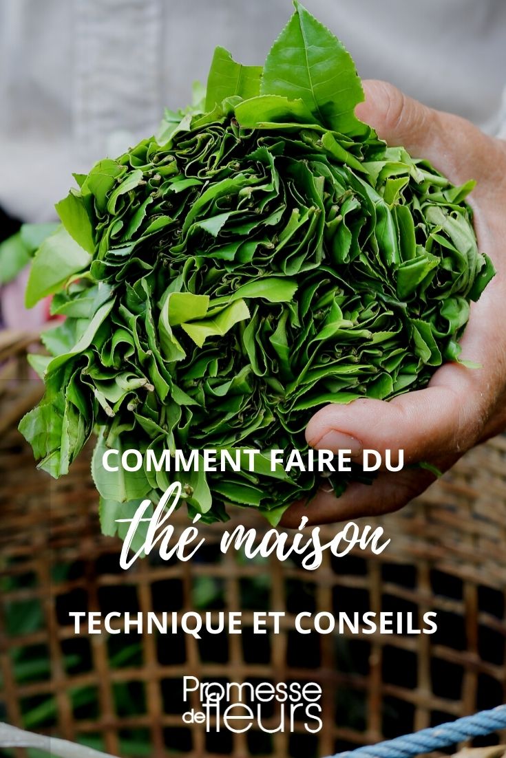 faire du thé maison