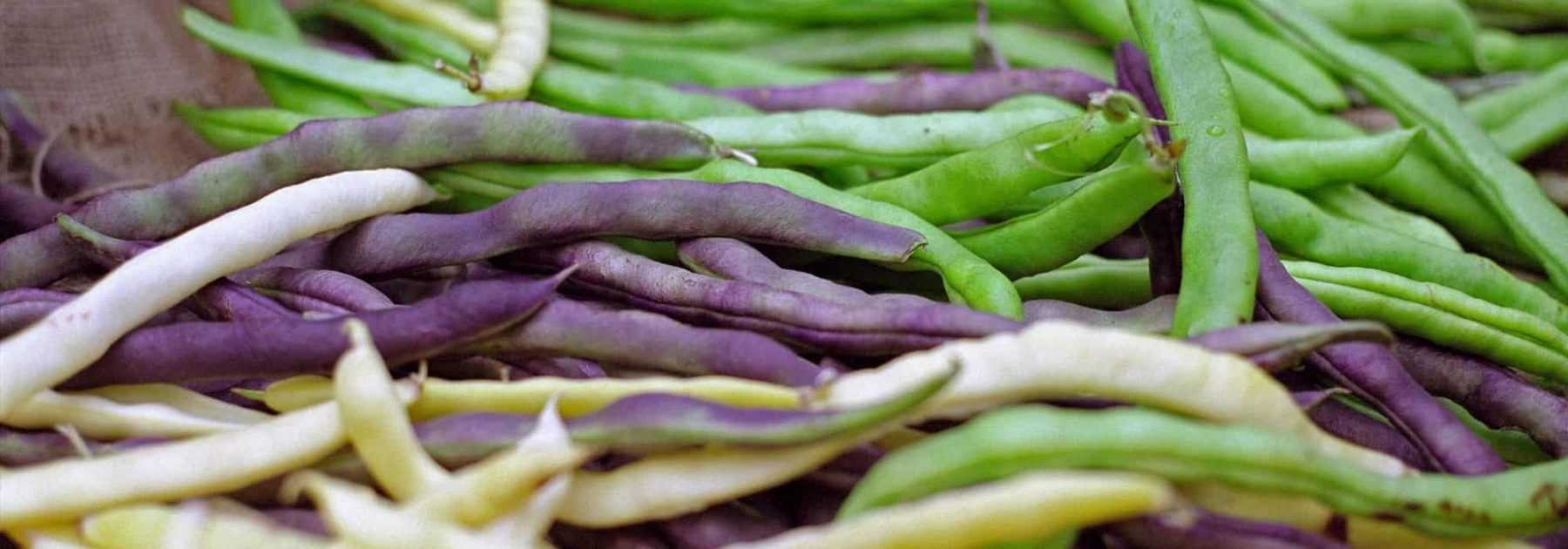 Les Haricots rouges - mon-marché.fr