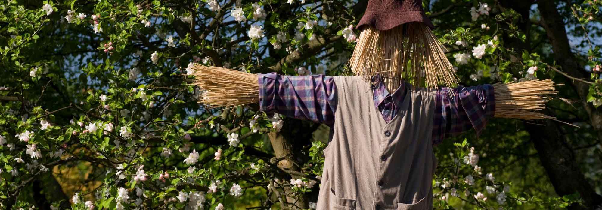 Aménager un jardin de campagne