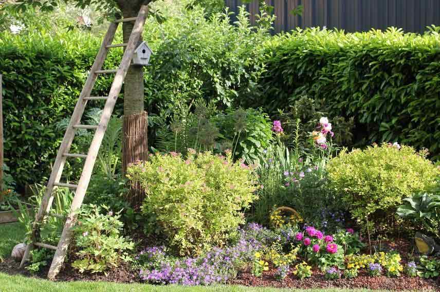 jardin champêtre ou rural