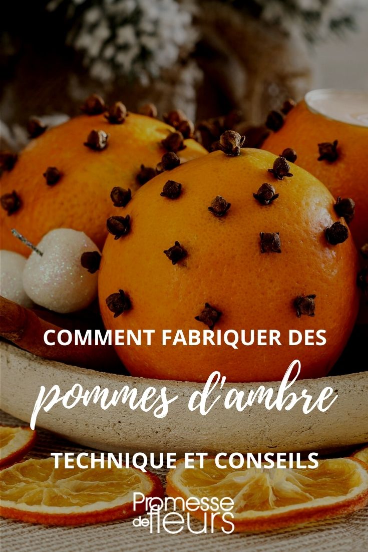 pomme d'ambre noel tutoriel