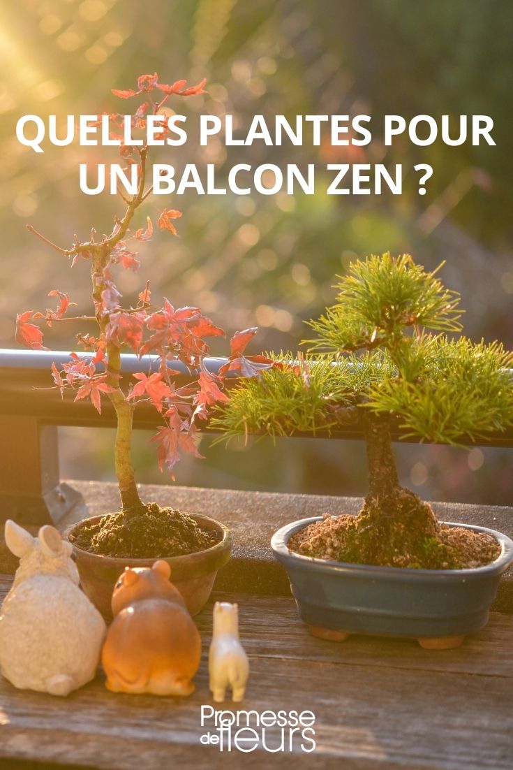 quelles plantes pour balcon zen