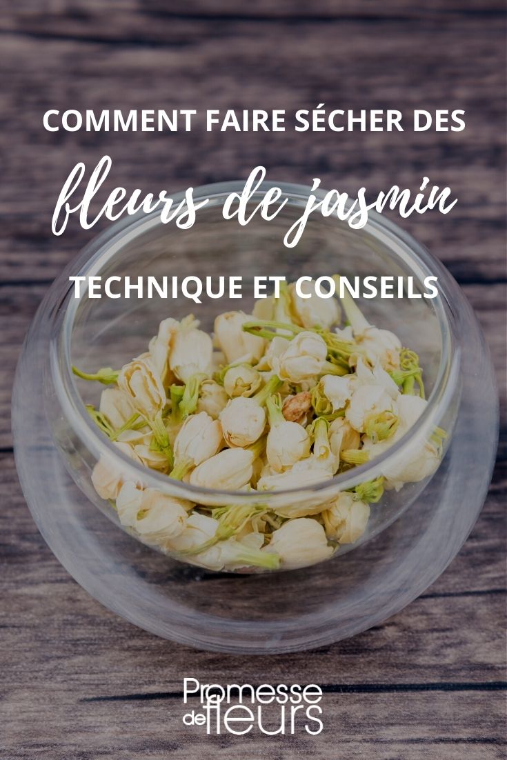 sécher fleurs jasmin