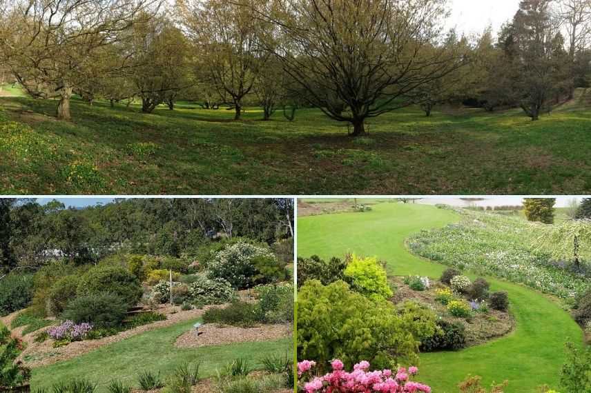 plantation sur butte