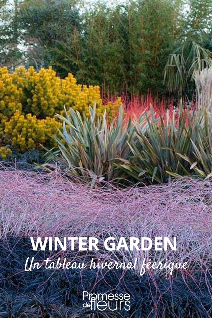 winter garden, jardin d'hiver