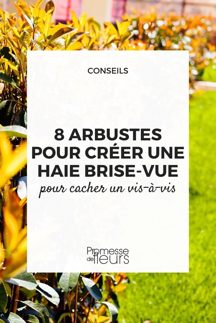 8 arbustes pour haie brise vue