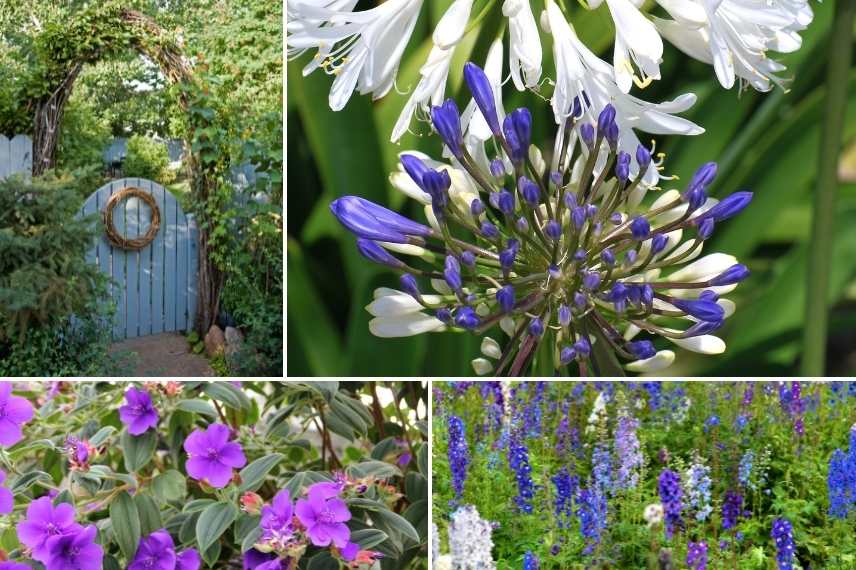 Aménager un jardin bleu