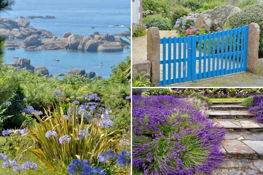 jardin bleu, aménager un jardin bleu, conseil jardin bleu, comment concevoir un jardin bleu, jardin bleu idées, jardin bleu associations