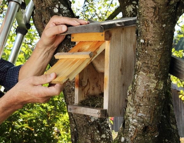 Cabane Oiseaux en Bois A Construire, Maison Oiseaux Exterieur Bois à Poser,  Nichoir Oiseaux Exterieur Arbre à Peindre, Nichoir Rouge Gorge Mesange