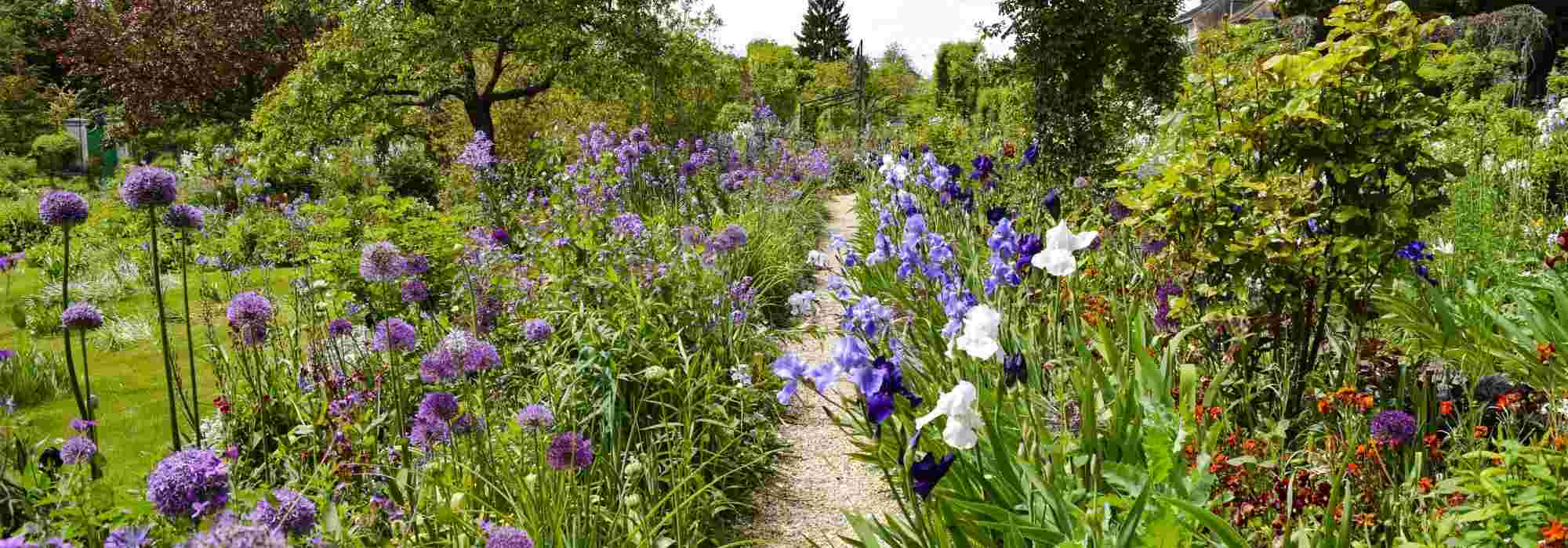 Des galets décoratifs blancs dans le jardin : des idées pour s'inspirer