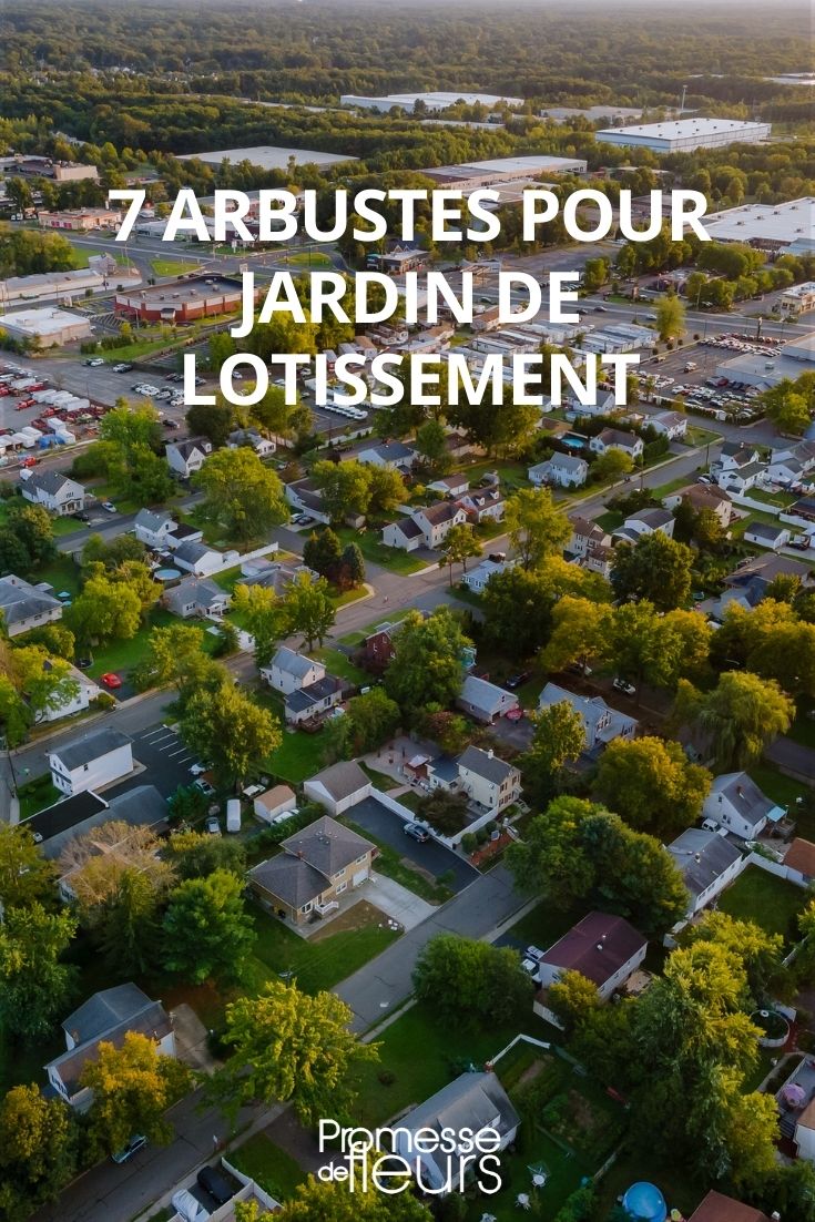 arbustes jardin lotissement