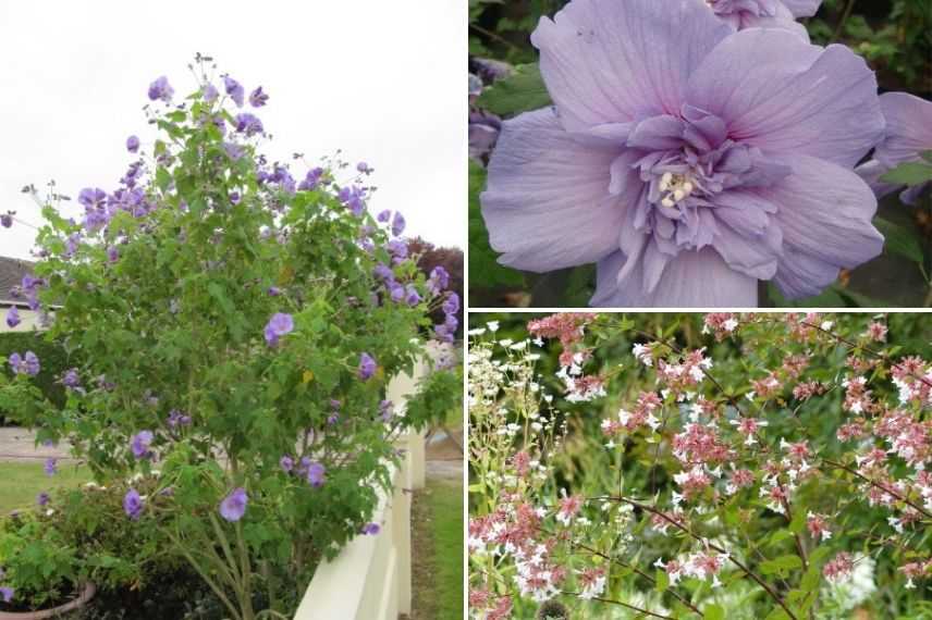 associer lanterne chinoise jardin romantique