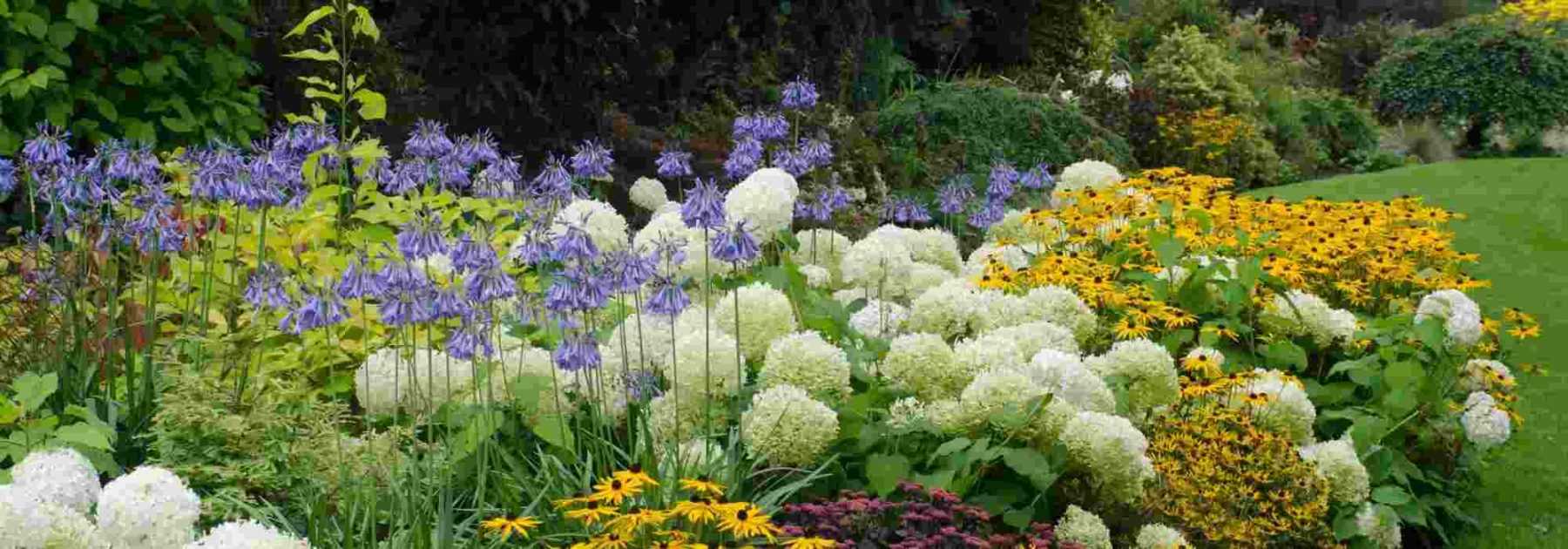 Associer les fleurs blanches