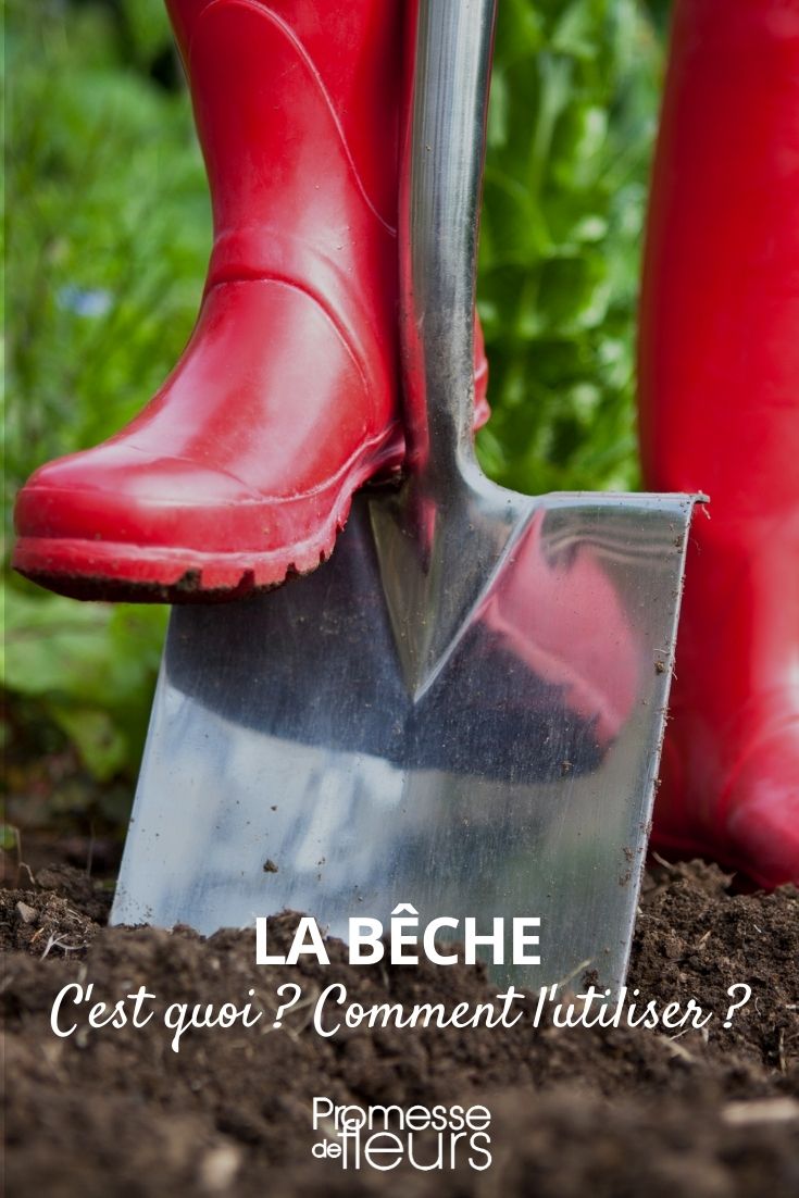 beche : c'est quoi ? utilisations ?