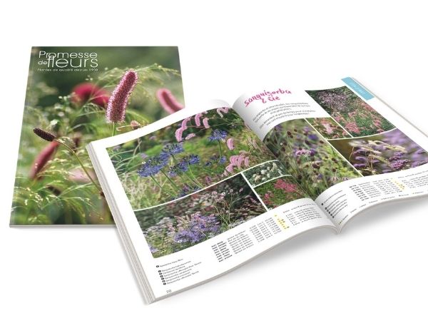 Notre nouveau catalogue printemps/été 2022 est en ligne !