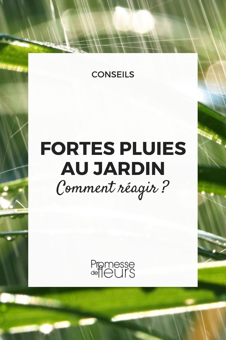 fortes pluies au jardin