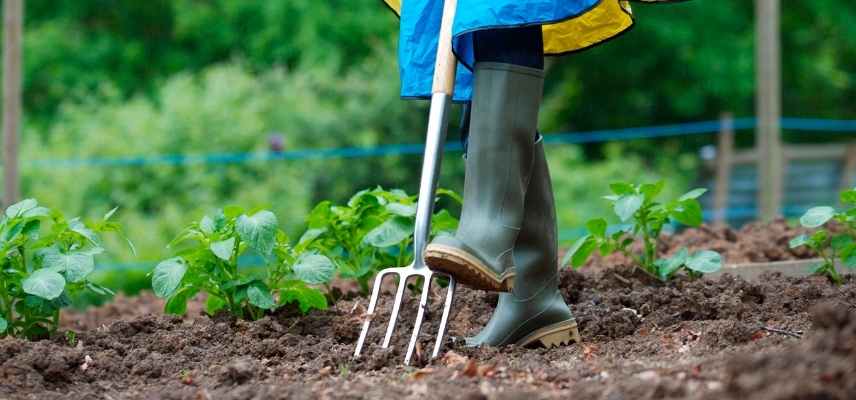 Fourche, bêche ou louchet ? - Société Nationale d'Horticulture de France