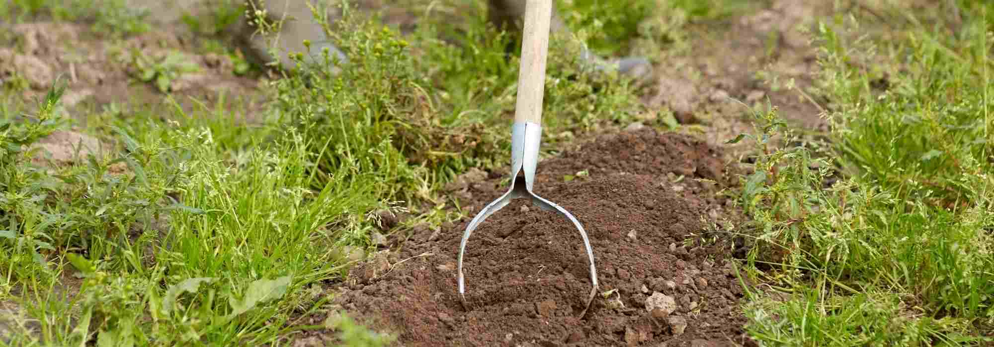 Découvrir les meilleurs outils de jardin Hollandais