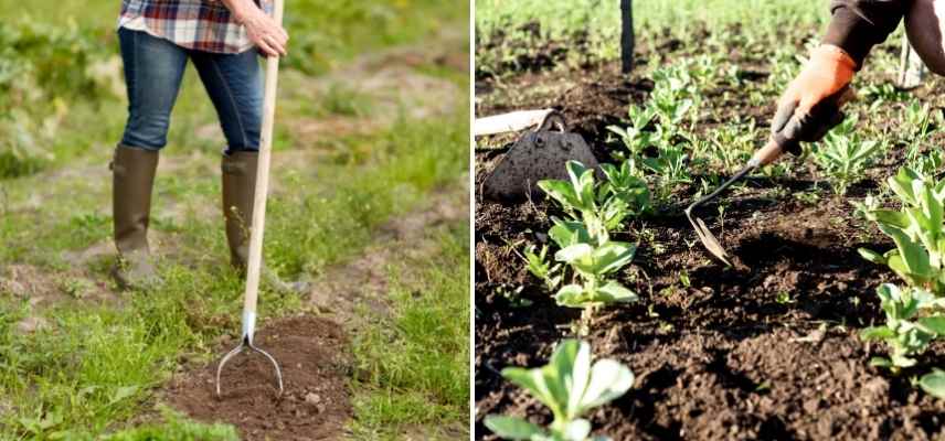 grattoir jardinage, grattoir désherbage, grattoir sarcler,