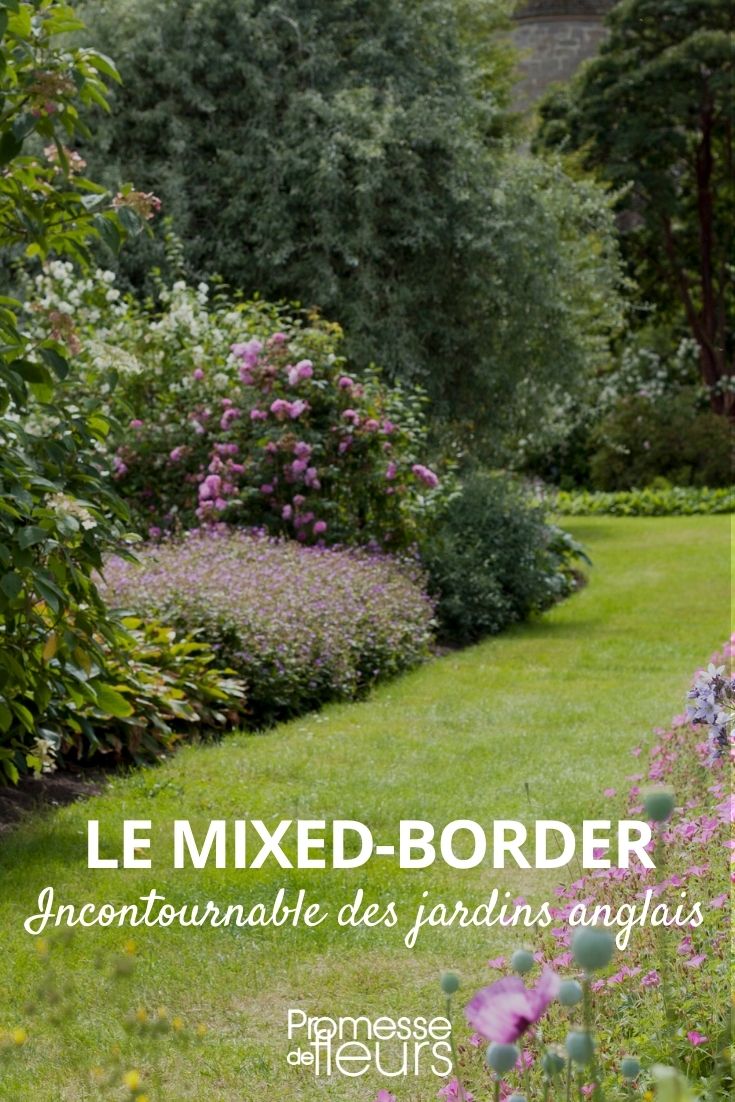 jardin anglais mixed border, mixed-border, créer un mixed border, aménagement mixed border, création mixed-border