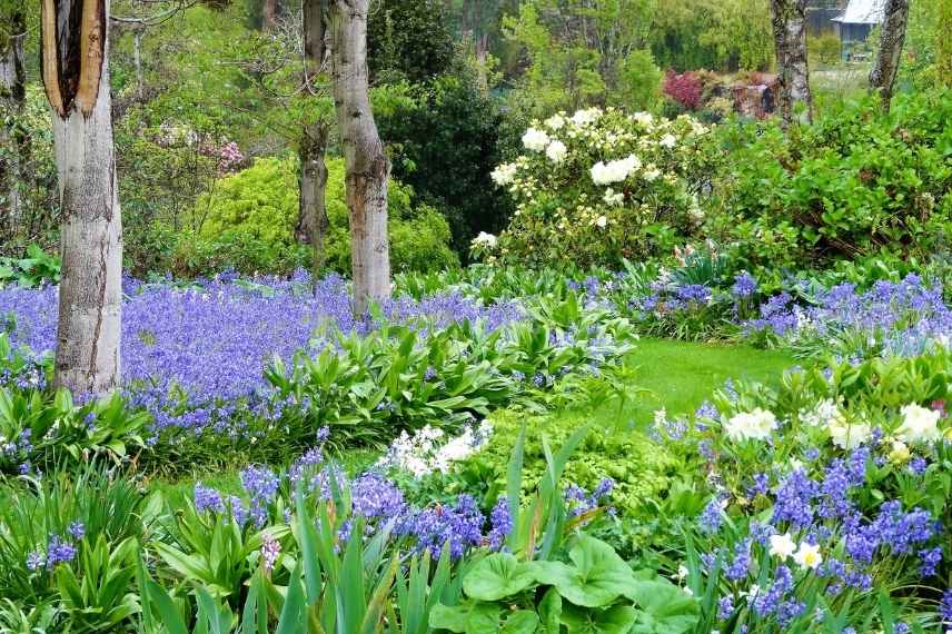 Aménager un jardin bleu