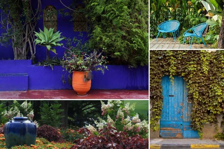 jardin bleu, aménager un jardin bleu, conseil jardin bleu, comment concevoir un jardin bleu, jardin bleu idées, jardin bleu associations