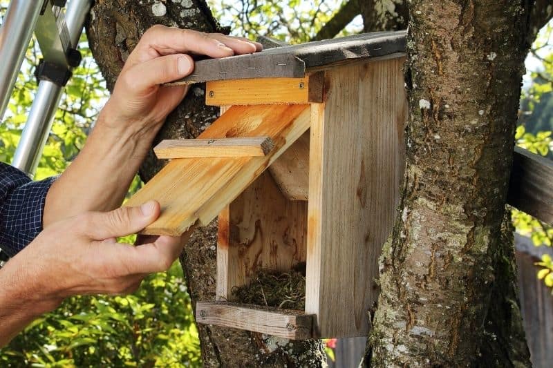 Nichoir à balcon pour Mésange bleue et Mésange charbonnière