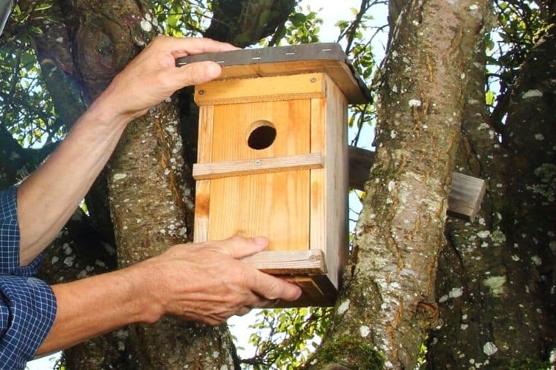 Nos tutoriels pour fabriquer une mangeoire à oiseaux - Marie Claire