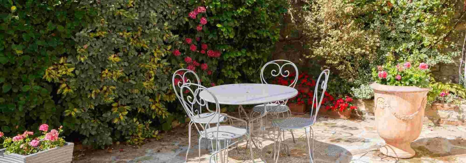 6 plantes pour créer une haie brise-vue sur la terrasse