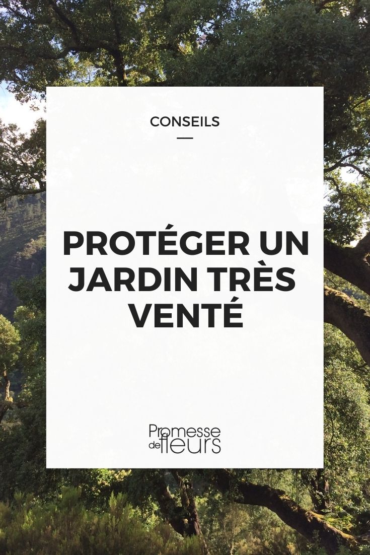 protéger jardin très venté