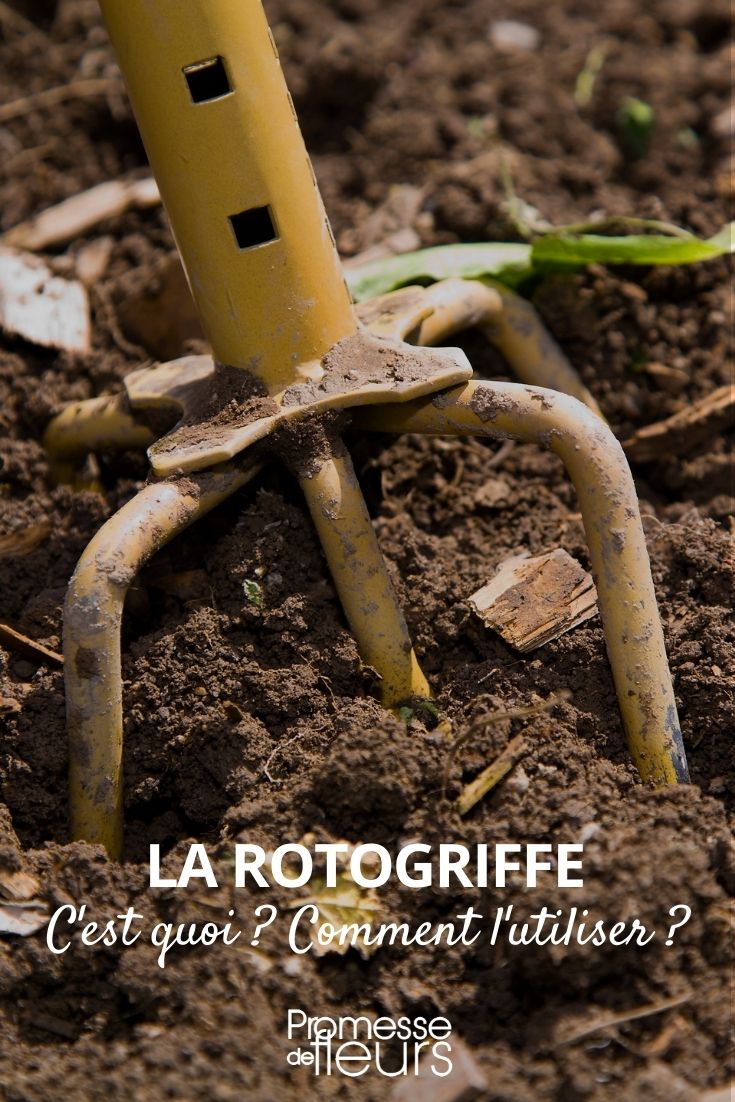 rotogriffe