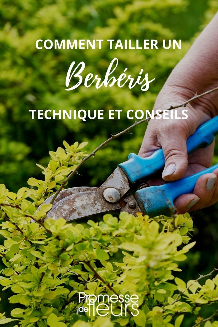 Comment choisir ses gants de jardinage ? - Promesse de Fleurs