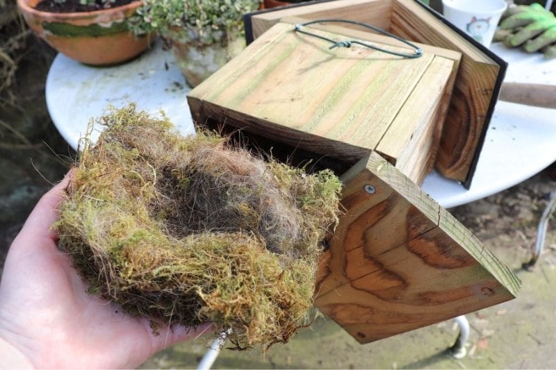 Le Blogue Jardin: Nettoyer les nichoirs pour oiseaux