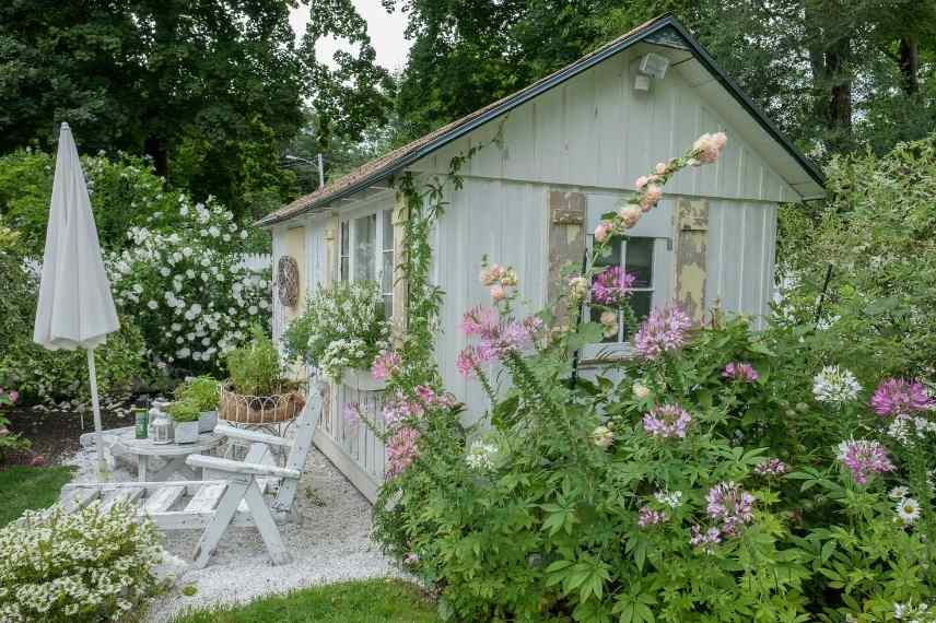 Associer fleurs roses, fleur rose association, floraison roses massif, fleurs roses massif, fleurs roses comment les marier