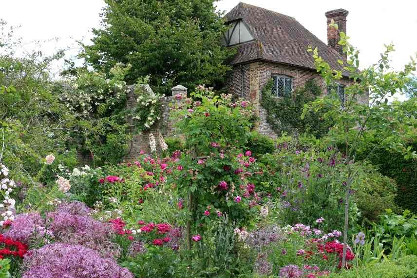 Associer fleurs roses, fleur rose association, floraison roses massif, fleurs roses massif, fleurs roses comment les marier