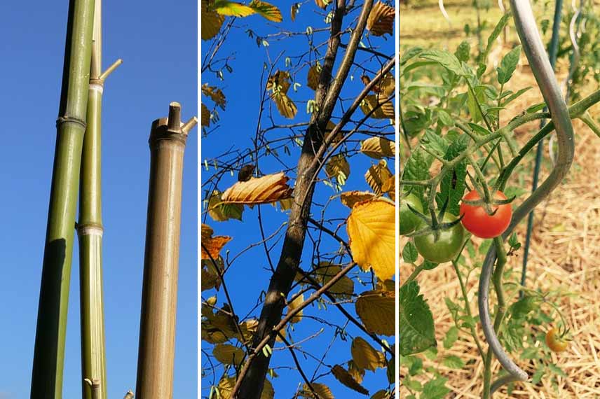 Matériaux pour fabriquer un tuteur a tomates