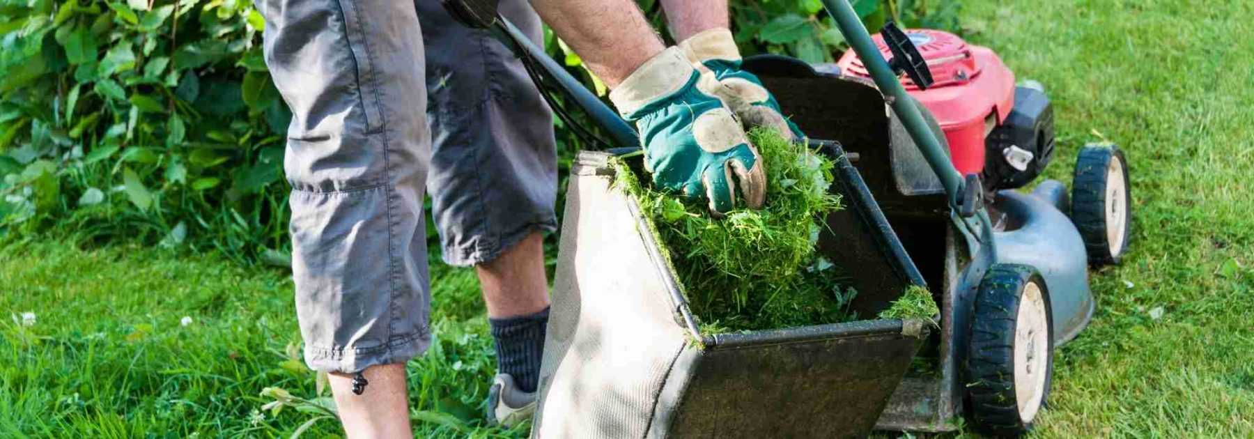 Que faire de l'herbe tondue ?