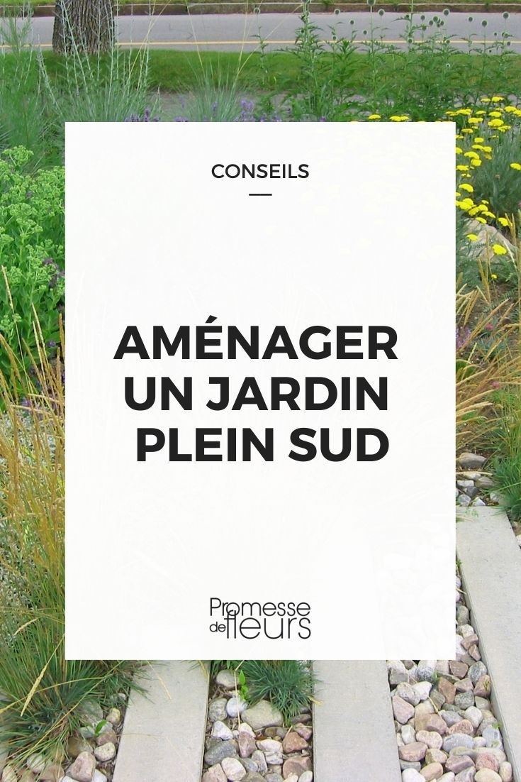 amenager jardin plein sud