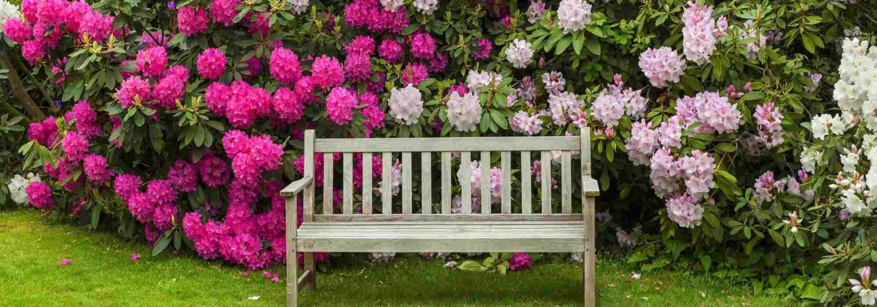 9 conseils de paysagiste pour aménager un jardin rose