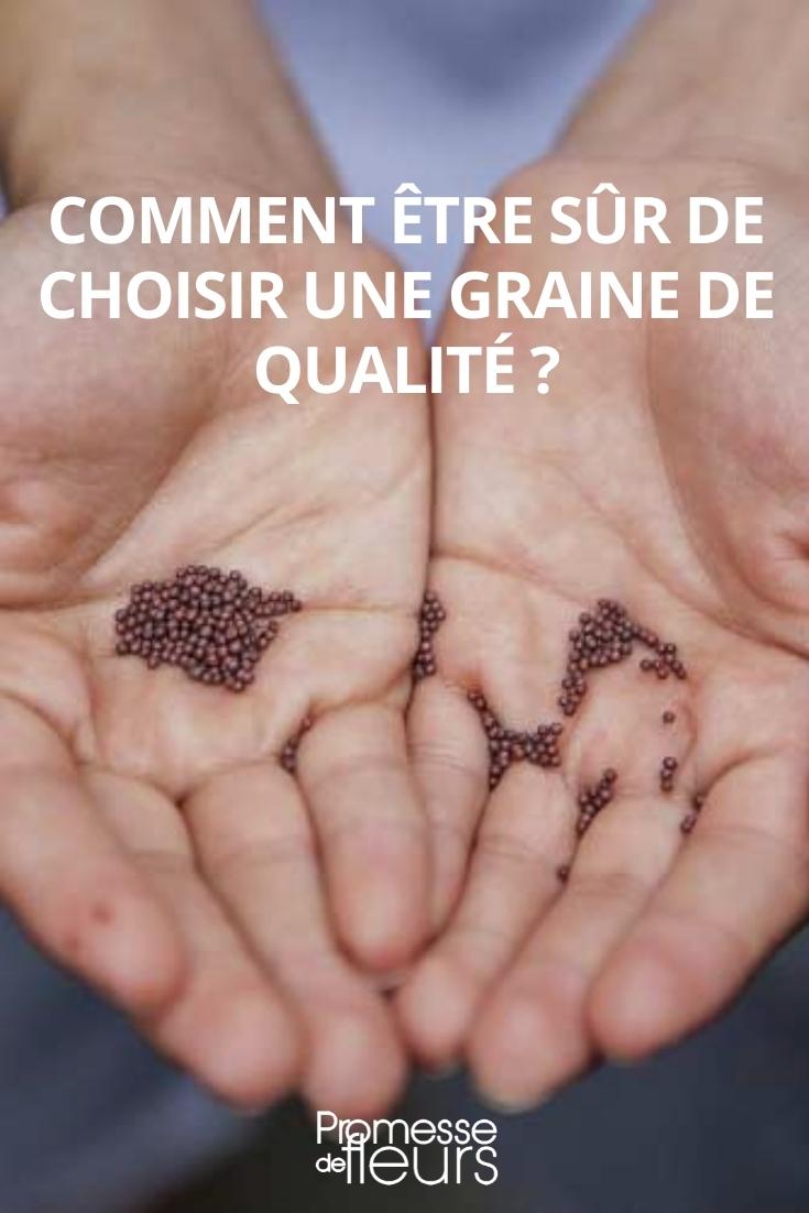 qualité des graines