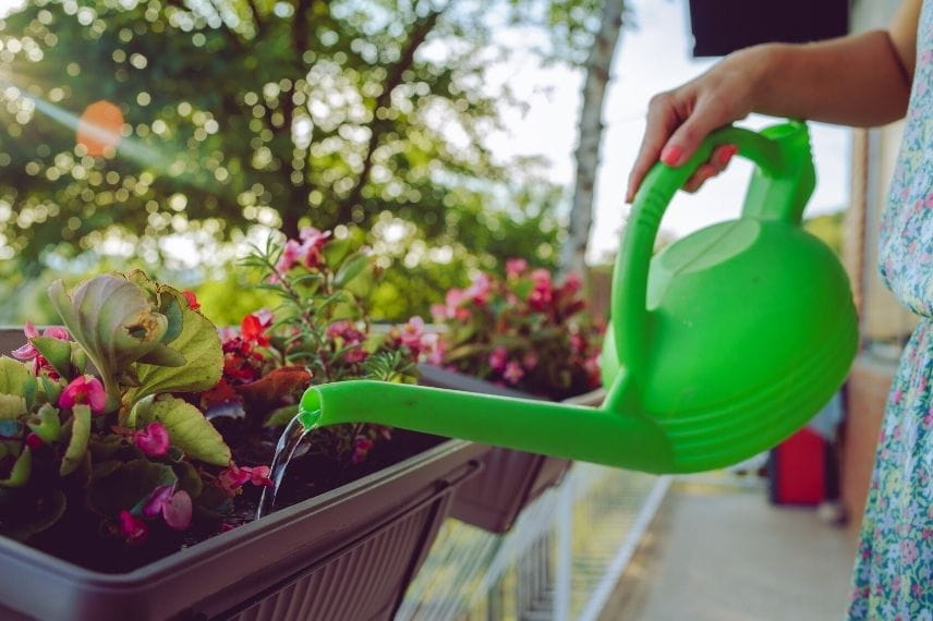 Récupérer l'eau de pluie au jardin - Promesse de Fleurs