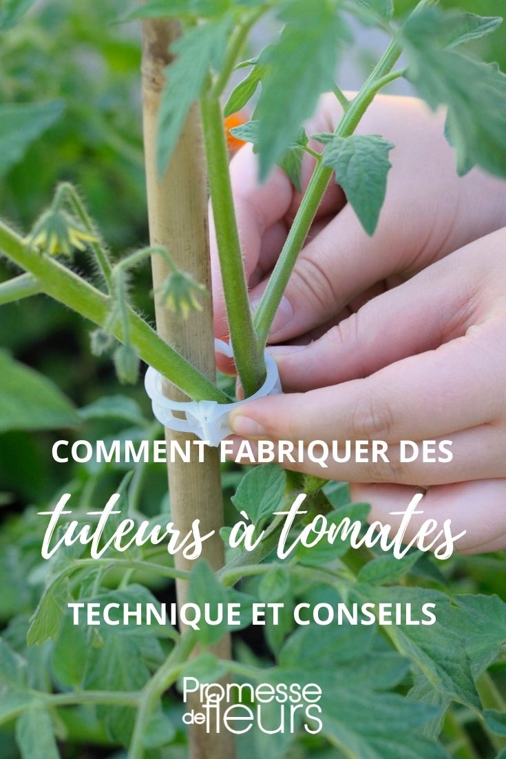 fabriquer tuteur tomate